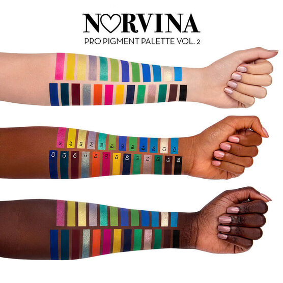 Paleta Multifuncional Anastasia Norvina Pro Pigment Palette Vol. 2